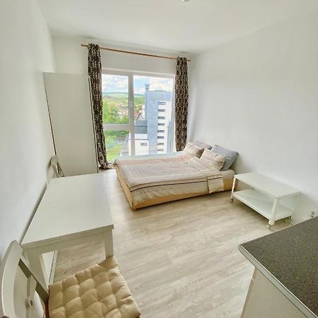 Cozy Studio Near The Center Of Cluj Exteriör bild
