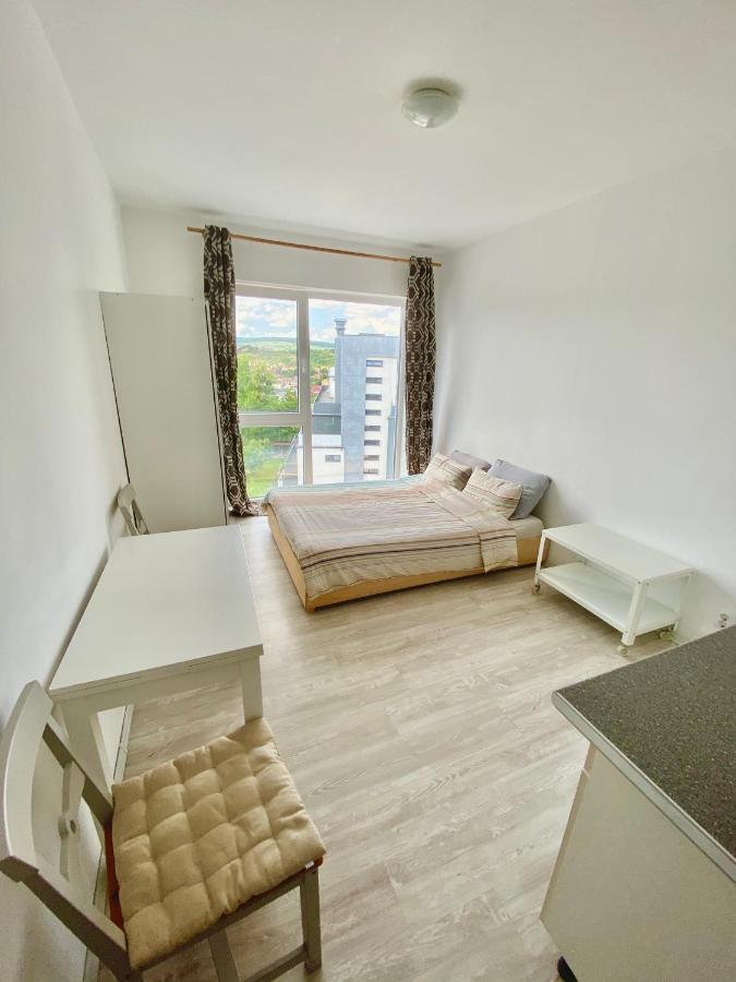 Cozy Studio Near The Center Of Cluj Exteriör bild